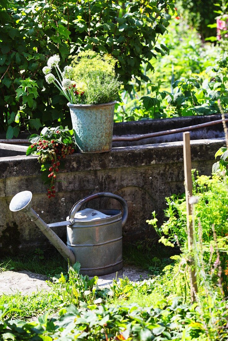 Zinc watering can, vintage pot of freshly cut flowers and branches of berries from cottage garden