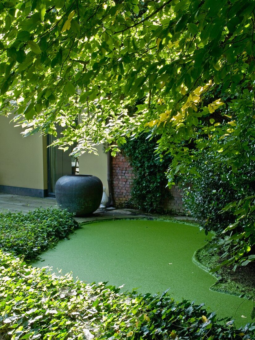 Gartenbereich mit grün gefärbtem Bodenbelag