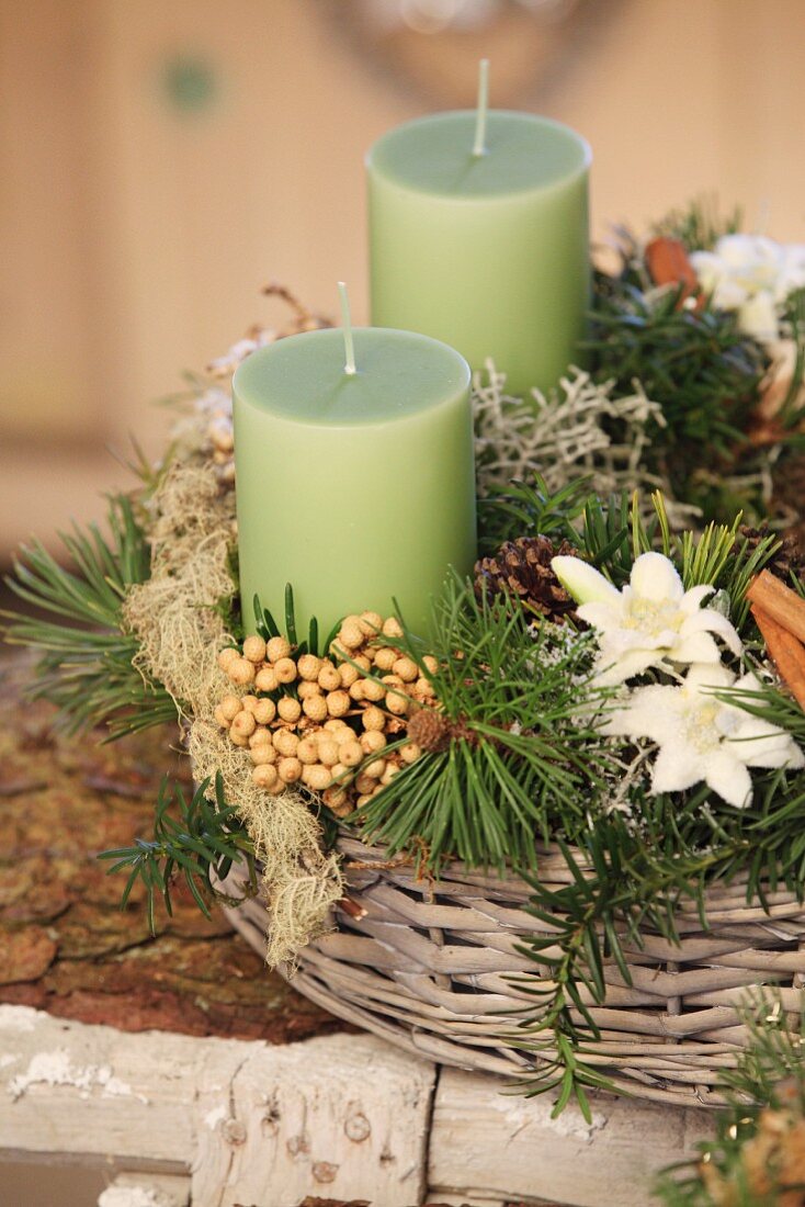 Rustikales Adventsgesteck mit grünen Kerzen im Weidenkorb