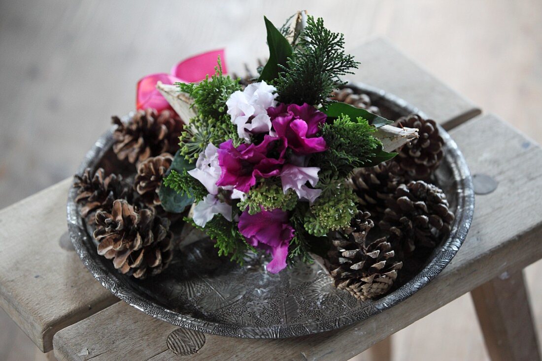 Pine cones and pink and white cyclamen on tray arranged on old wooden stool