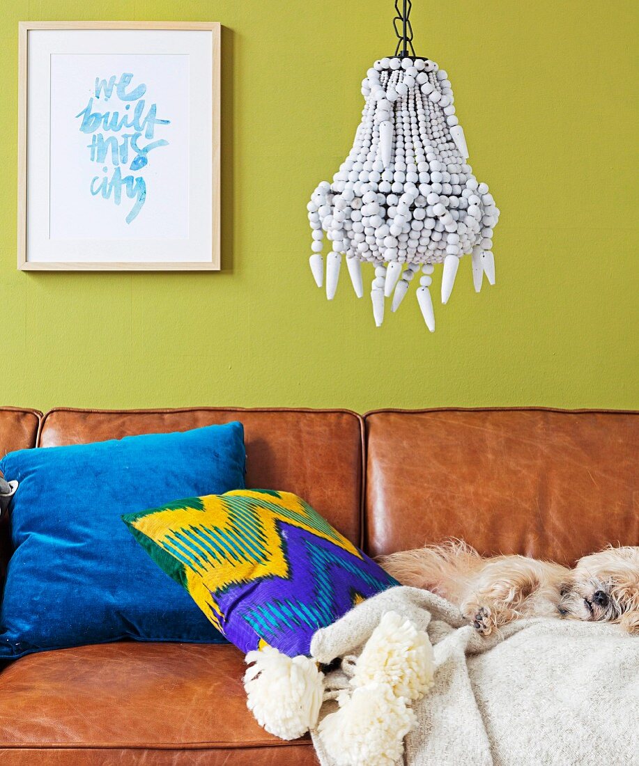 Dog sleeping on comfortable leather sofa with scatter cushions against lime green wall below pendant lamp decorated with white beads