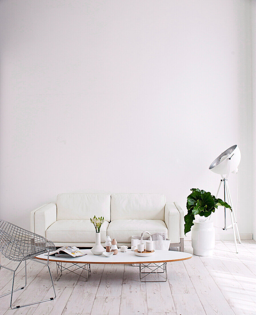 Wire mesh chair and white upholstered sofa around coffee table, photo lamp on the side and floor vase with green leaves