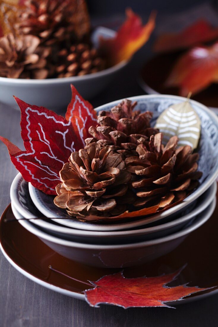 Stacked bowls, pine cones and painted autumn leaves