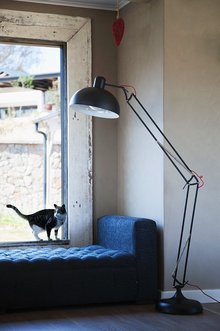 Cat on daybed below window next to retro standard lamp