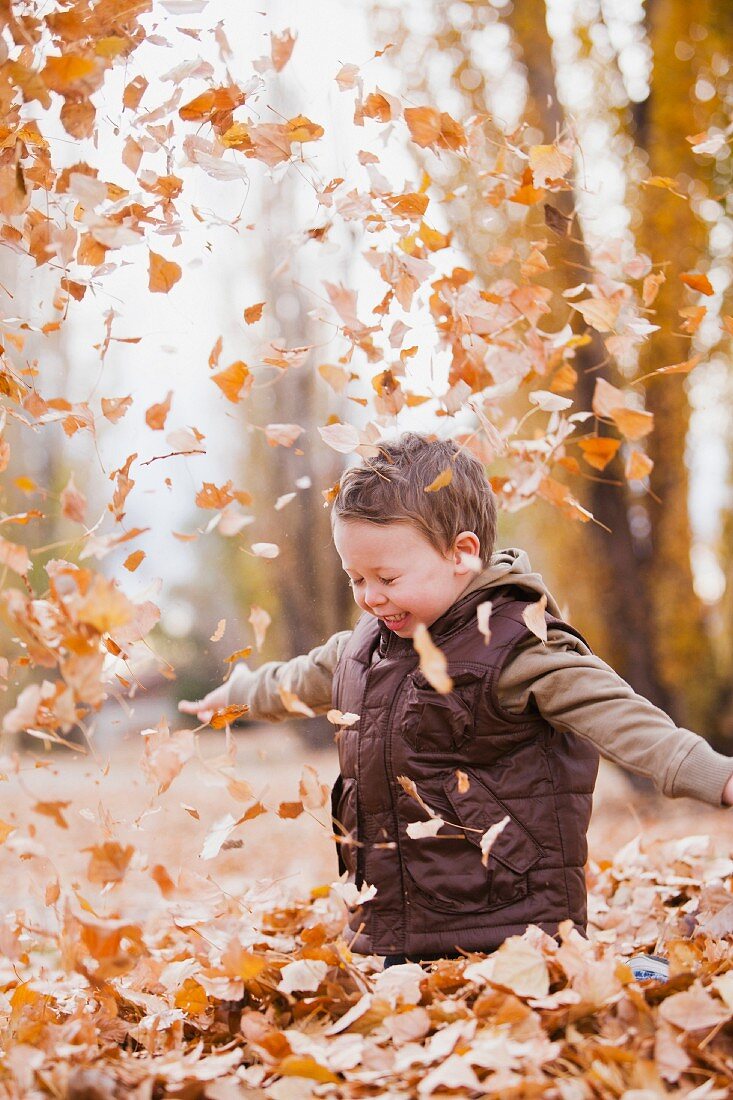 Kleiner Junge spielt mit Herbstblättern