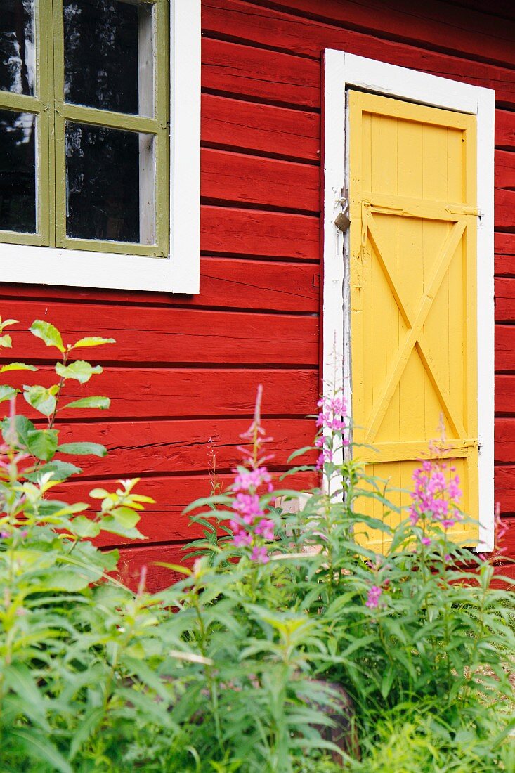 Rotes skandinavisches Holzhaus mit gelber Tür