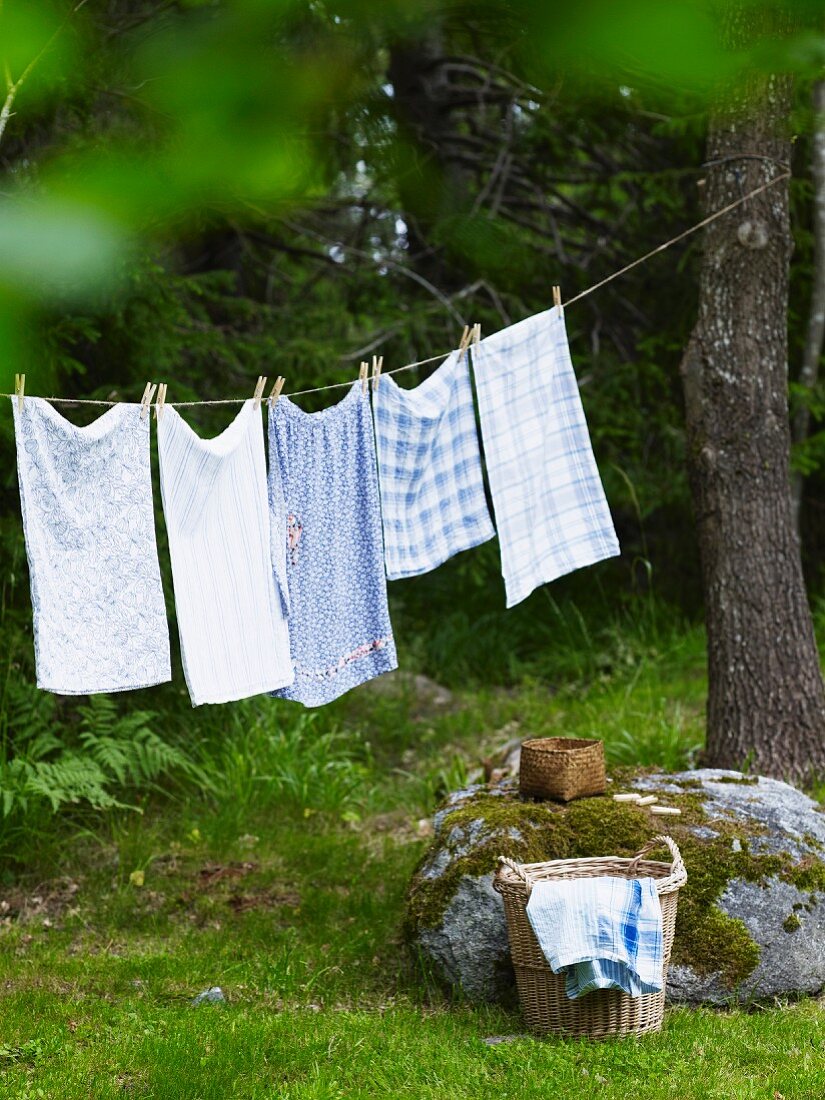 Wäsche auf Wäscheleine im Garten – Bild kaufen – 11241577 living4media