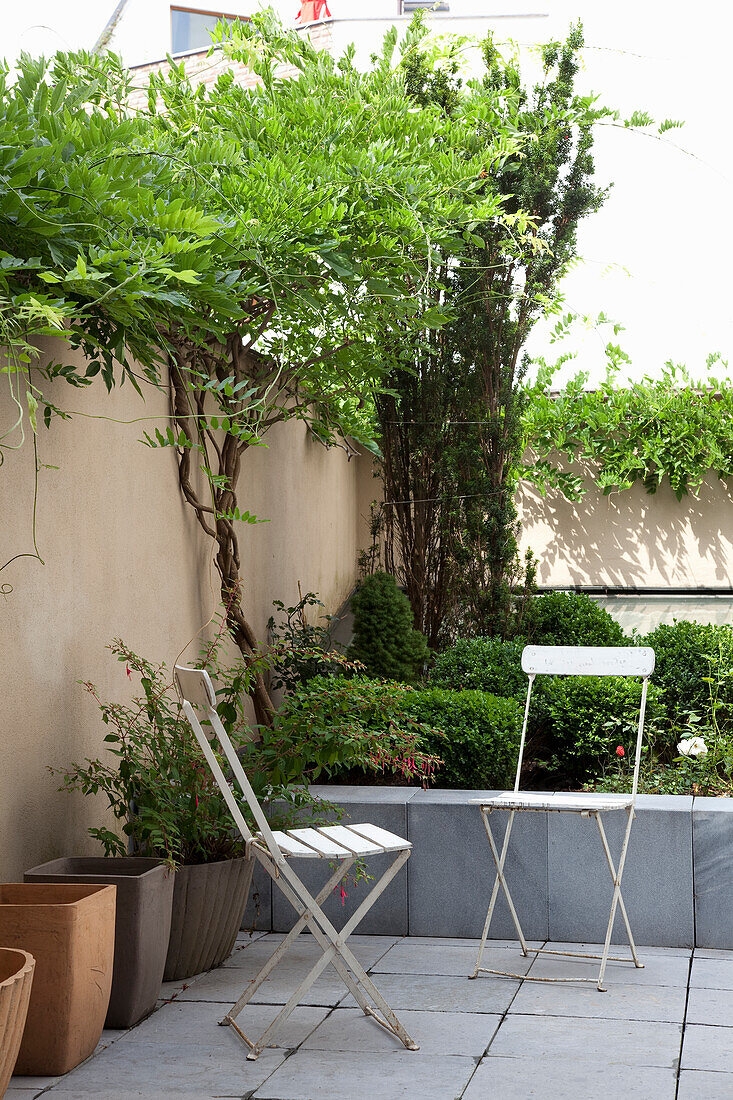 Small city garden with folding chairs and various green plants