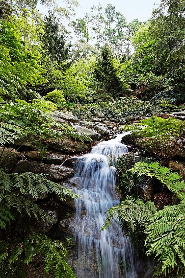 Waterfall in wild, green woodland landscape