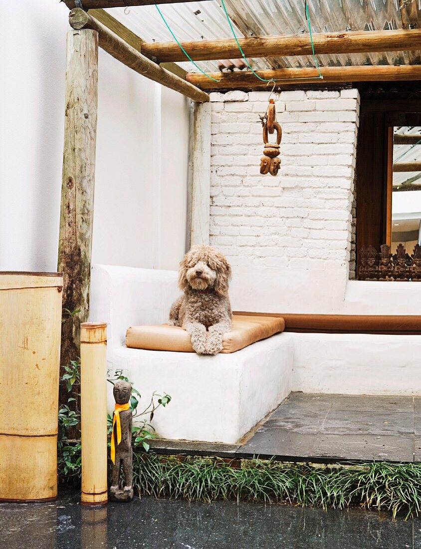 Wuscheliger Hund auf gemauerter Eckbank mit bequemem Lederpolster