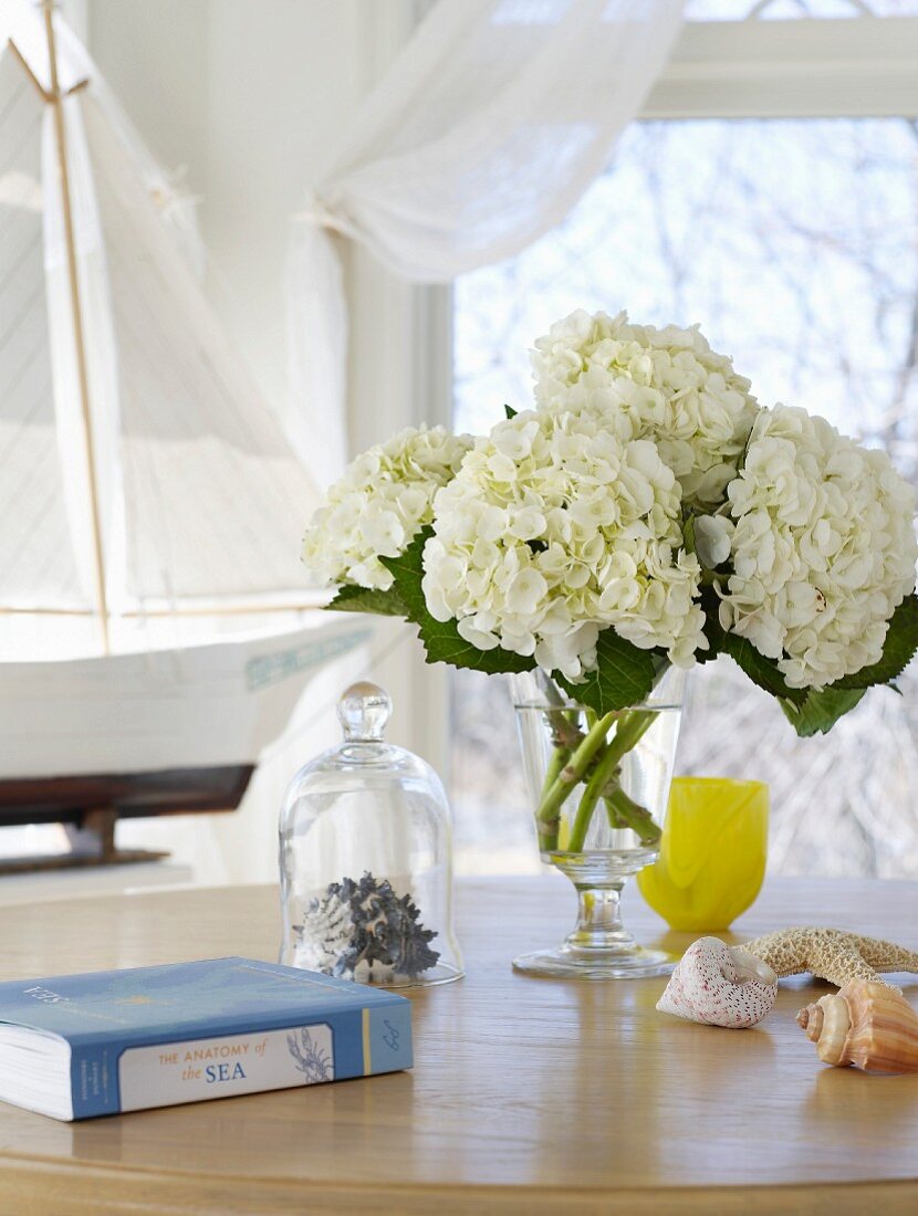 weiße Hortensien auf hellem Holztisch mit Fundstücken vom Strand