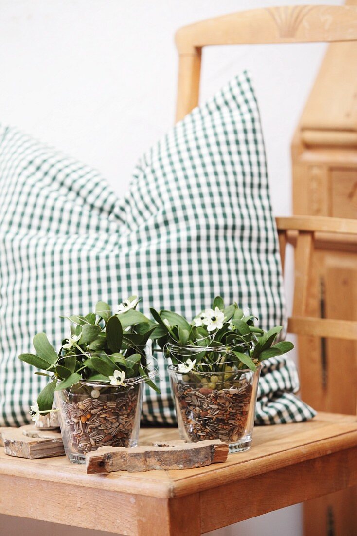 Milchsternblüten und Misteln auf Vogelfutterbett vor grün-weiss kariertem Kissen auf Küchenstuhl