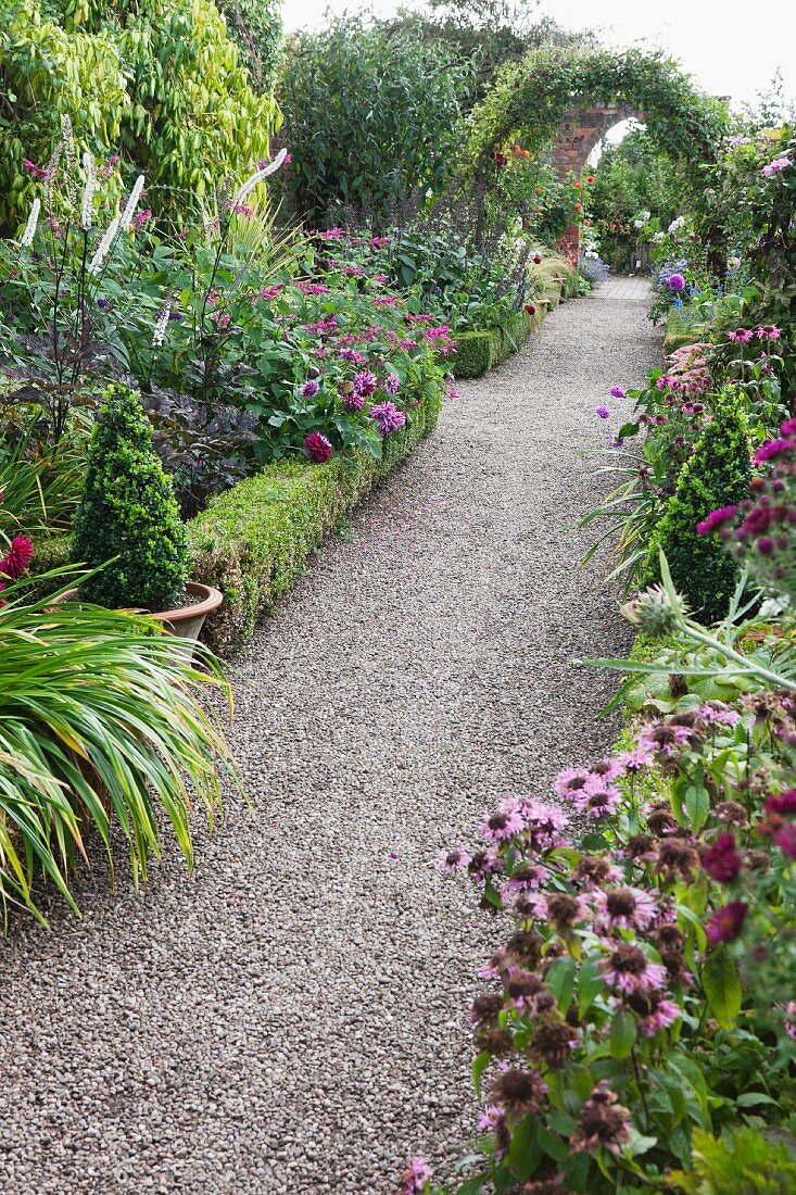 Blooming flower beds lining long gravel path leading through climber covered arch in English garden
