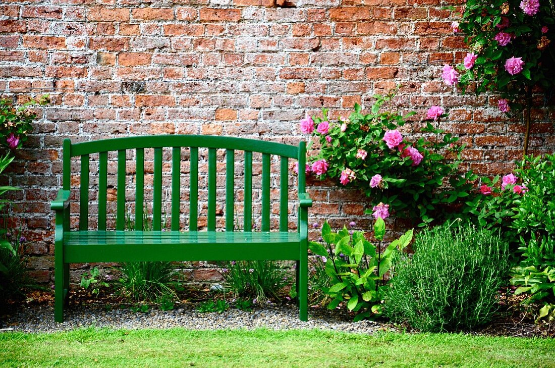 Green-painted garden bench and flowering climbing rose on brick wall of house