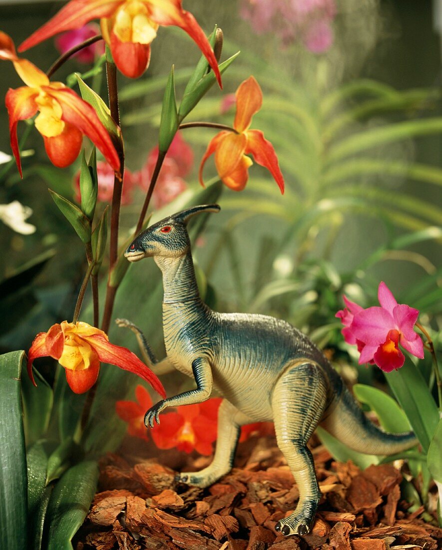 Spielzeug Dino neben blühender Orchidee