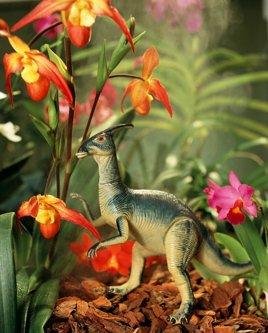Toy dinosaur next to flowering orchid