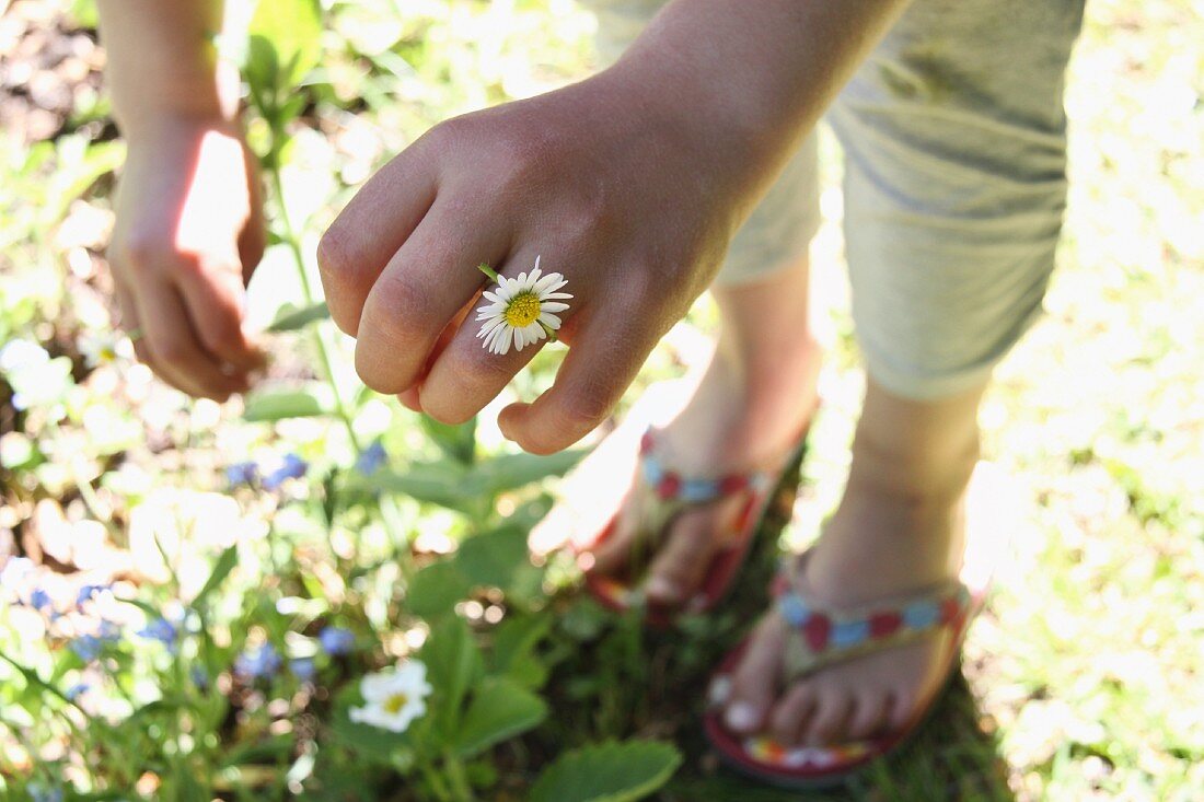 Woman wearing daisy as ring on finger standing next to sunny flowerbed