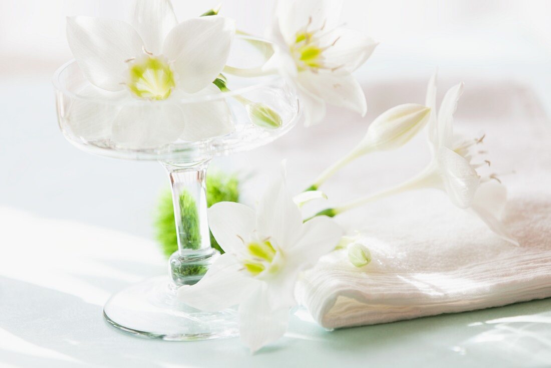 weiße Lilien in einer Glasschale als Tischdeko