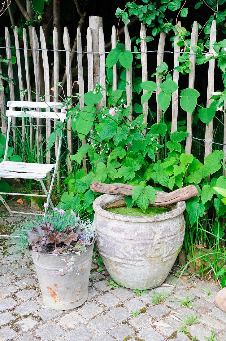Miniteich in altem Tontopf & Herbstpflanzen in Zinkeimer als Gartendeko