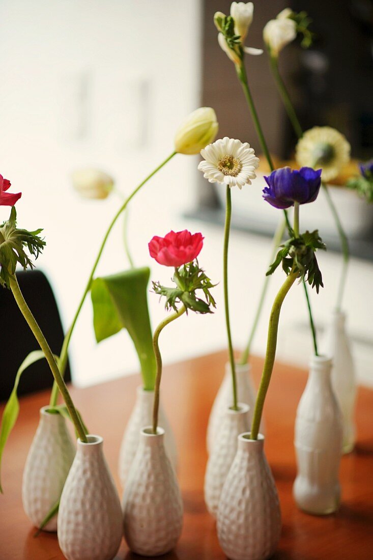 Anemones, ox-eye daisies and freesias in vases on table