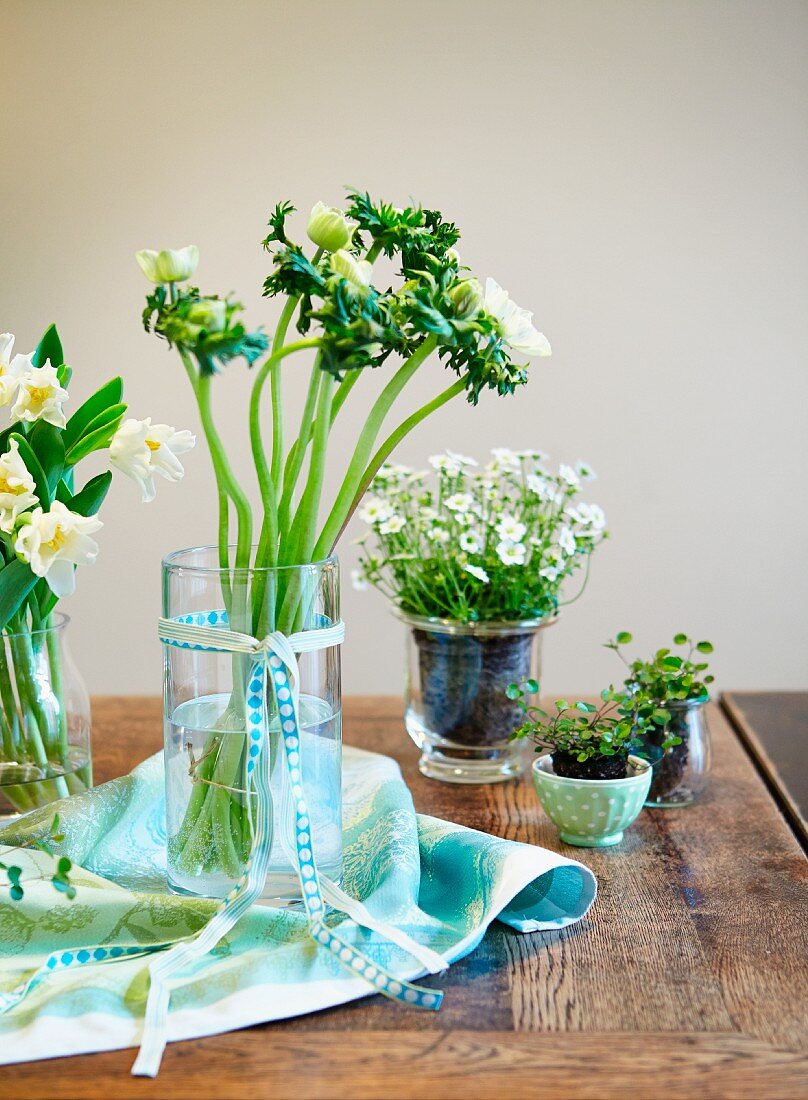 Vases of flowers & potted plants decorating wooden table