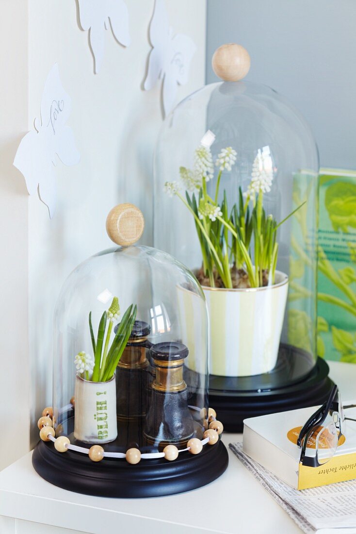 White grape hyacinths and antique binoculars below glass covers decorated with wooden beads
