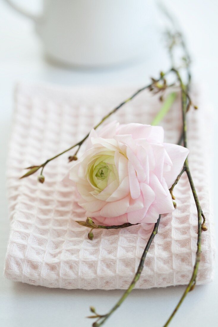 White camellia and twigs decorating napkin