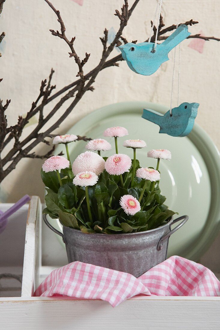 Romantic arrangement with two pale blue, bird-shaped decorations hanging on spring branches and flowering pink bellis in zinc pot