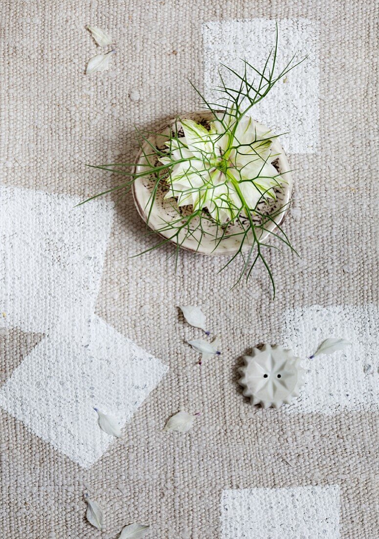 weiße Nigella Blüte auf Schale, rustikale, hellgraue Tischdecke mit weißem Rechteck Muster