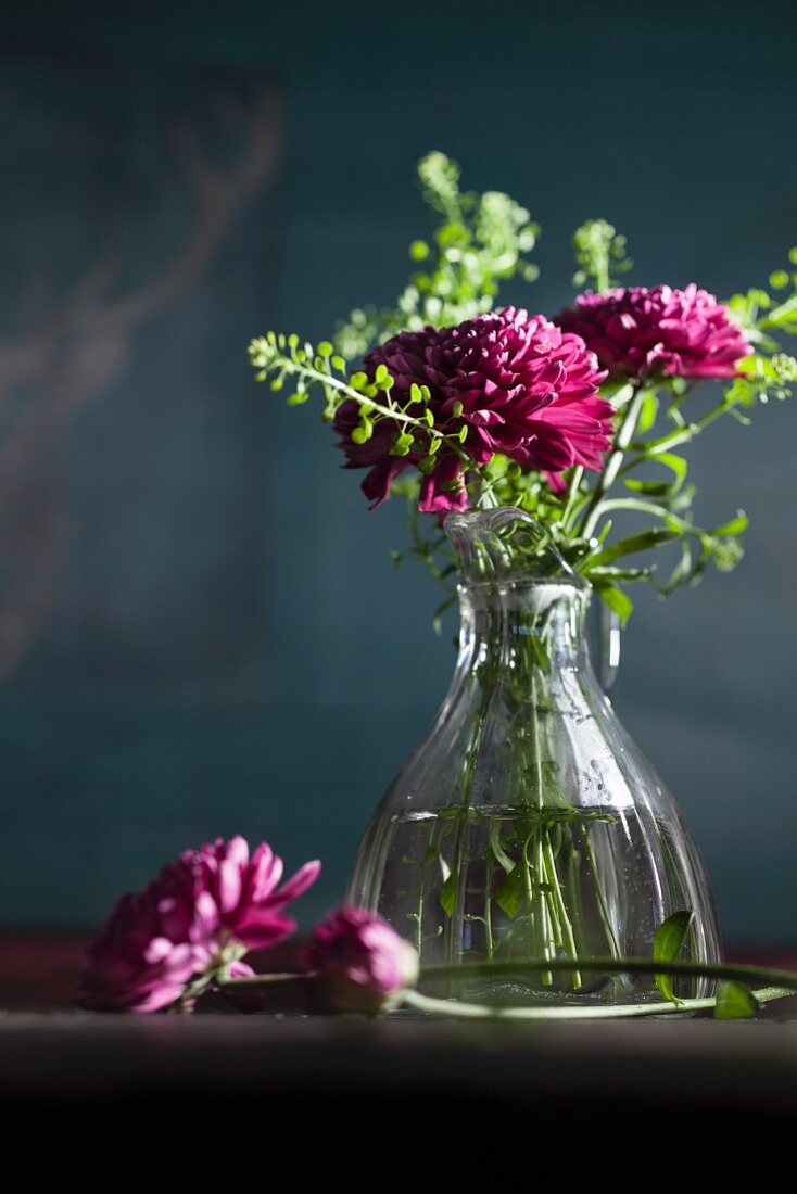 Purple chrysanthemums in glass vase