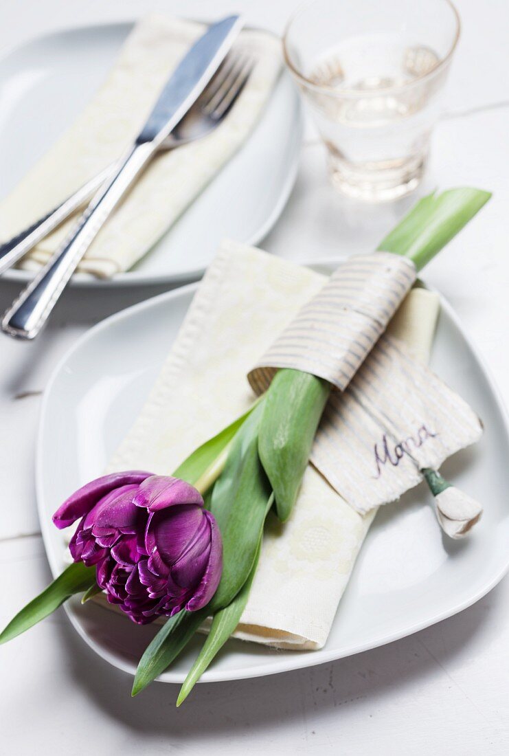 Purple tulip for mum wrapped in decorative ribbon on white plate