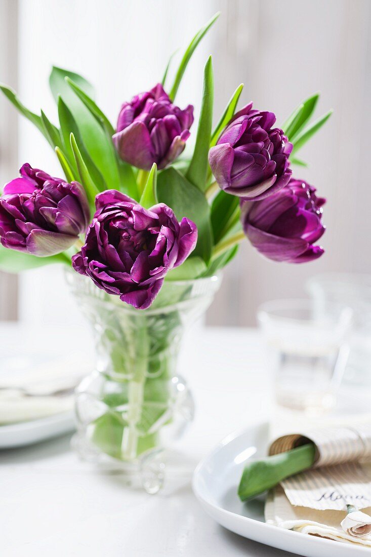 Purple tulips in glass vase on table set in white