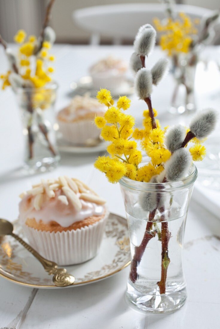 Weidenkätzchen mit Mimosen in Gläsern auf Ostertisch mit Muffin