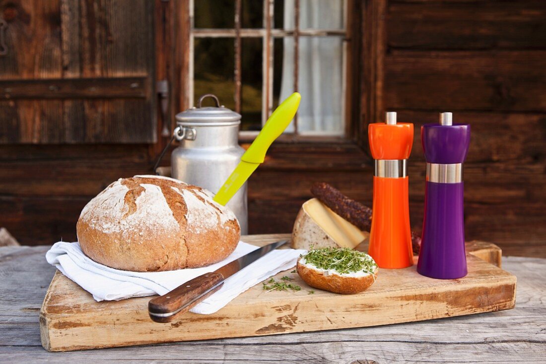 Neon salt and pepper mills on breadboard in front of mountain cabin