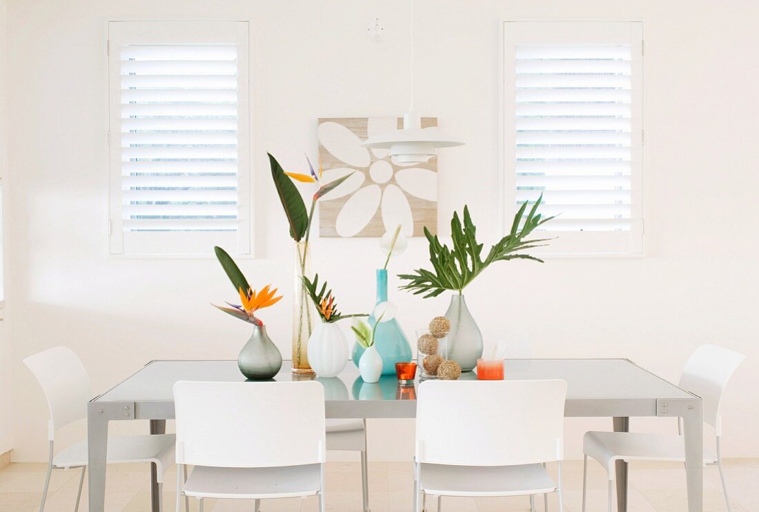 Strelitzien in verschiedenen Vasen mit Palmenblättern auf grauem Tisch, weiße Stühle, am Fenster geschlossene Innenläden