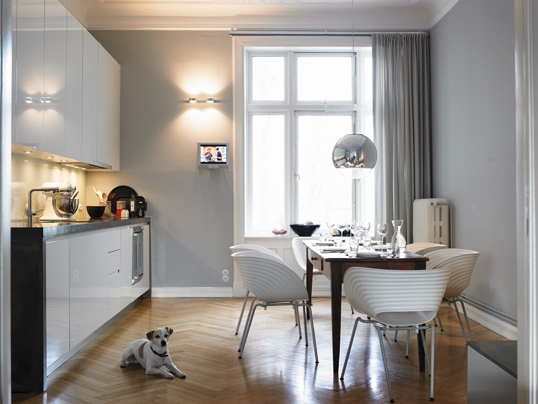 Dog lying on parquet floor in modern kitchen with dining table and chairs