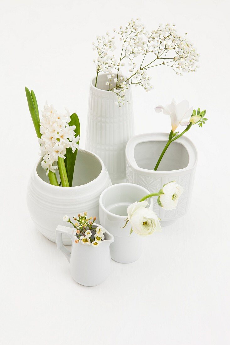 Various flowers in white vases