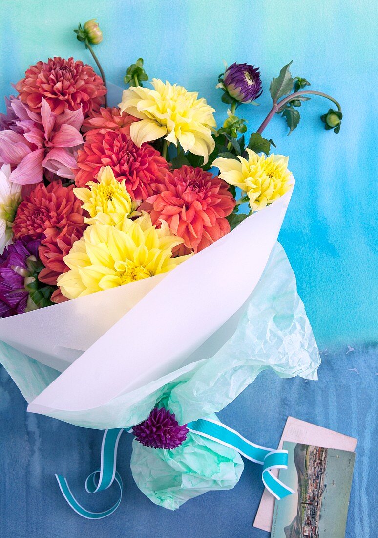 Colourful bouquet of dahlias wrapped in white paper and greetings card on pale blue surface