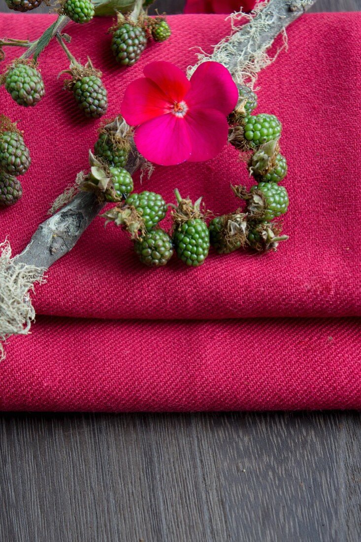 Small wreath of unripe blackberries and geranium flower on bright pink tablecloth