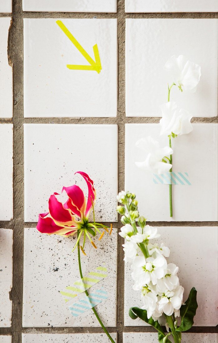 Einzelne Sommerblumen künstlerisch mit Masking Tapes an weiße Fliesenwand geklebt