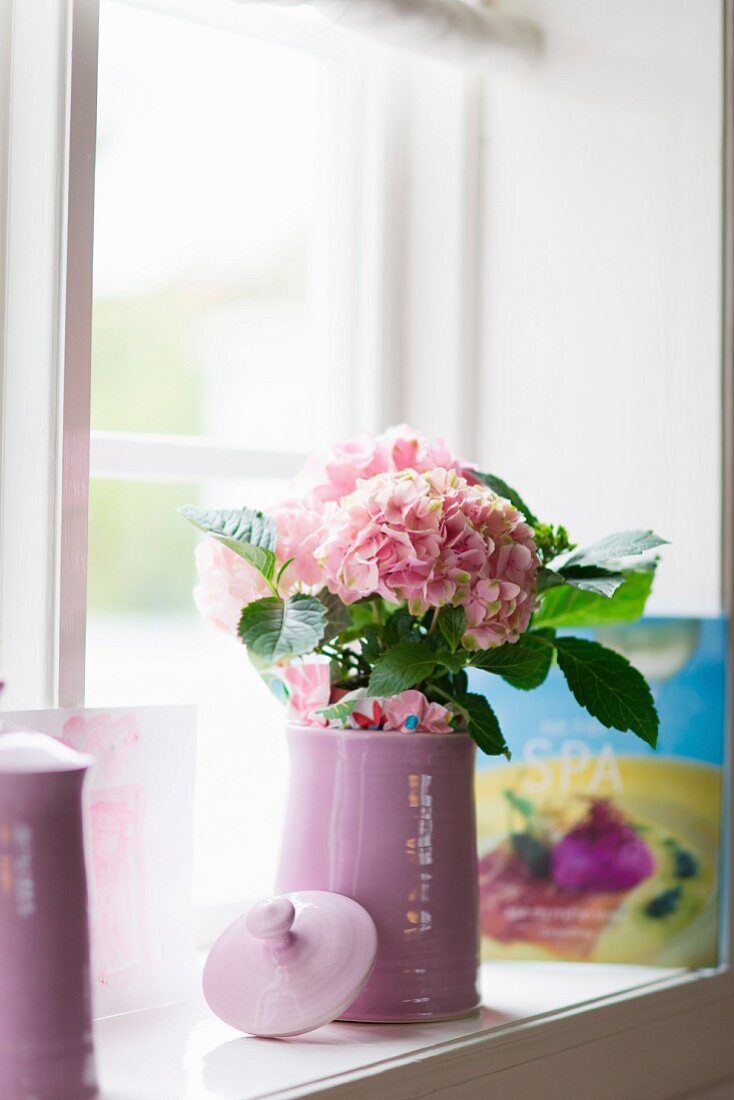 Pale pink hydrangeas in pale lilac jug on windowsill