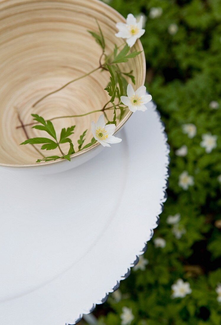 Wood anemones in bamboo bowl on tray in garden