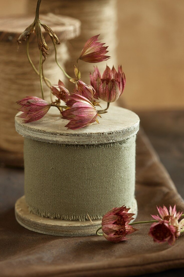 Dried decorative flowers on reels of ribbon