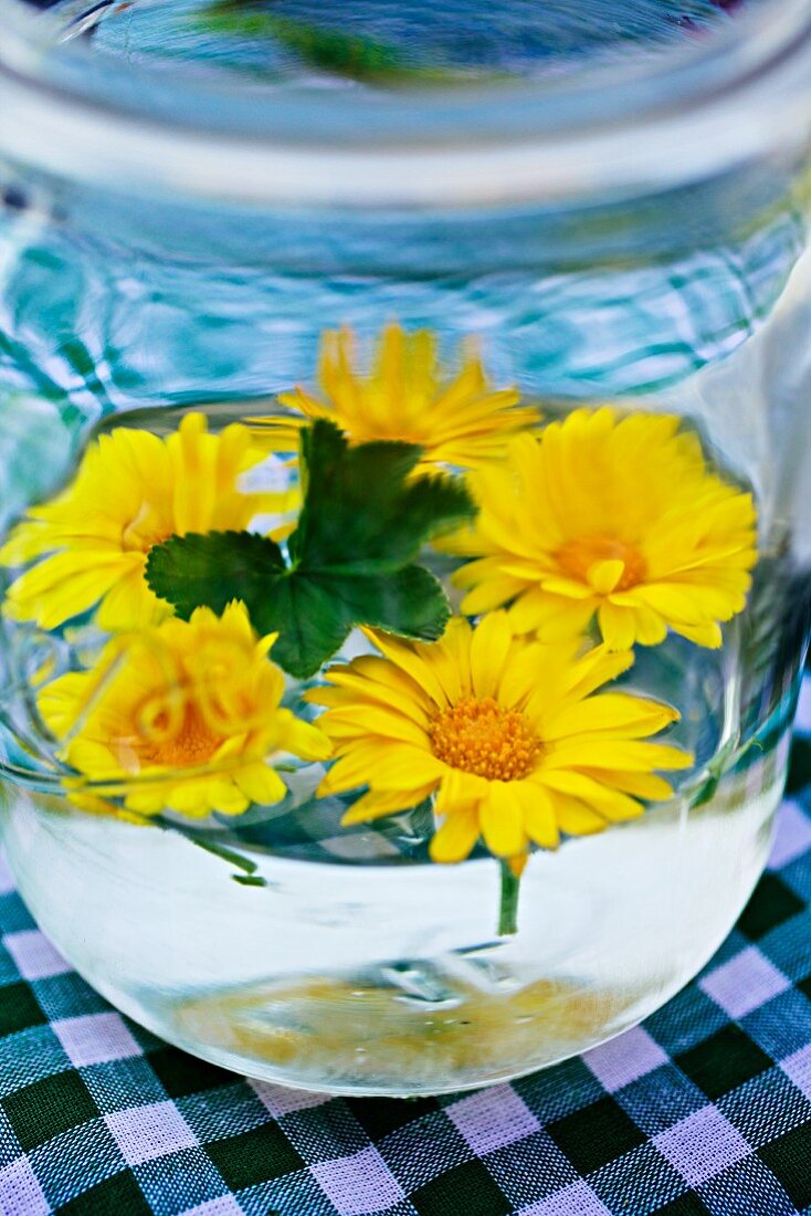 Yellow ox-eye daisies floating in glass of water decorating table