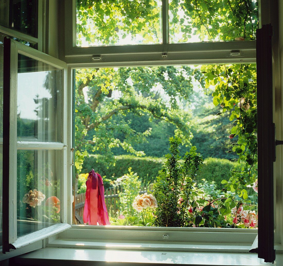 Blick durch geöffnetes Fenster in sommerlichen Garten