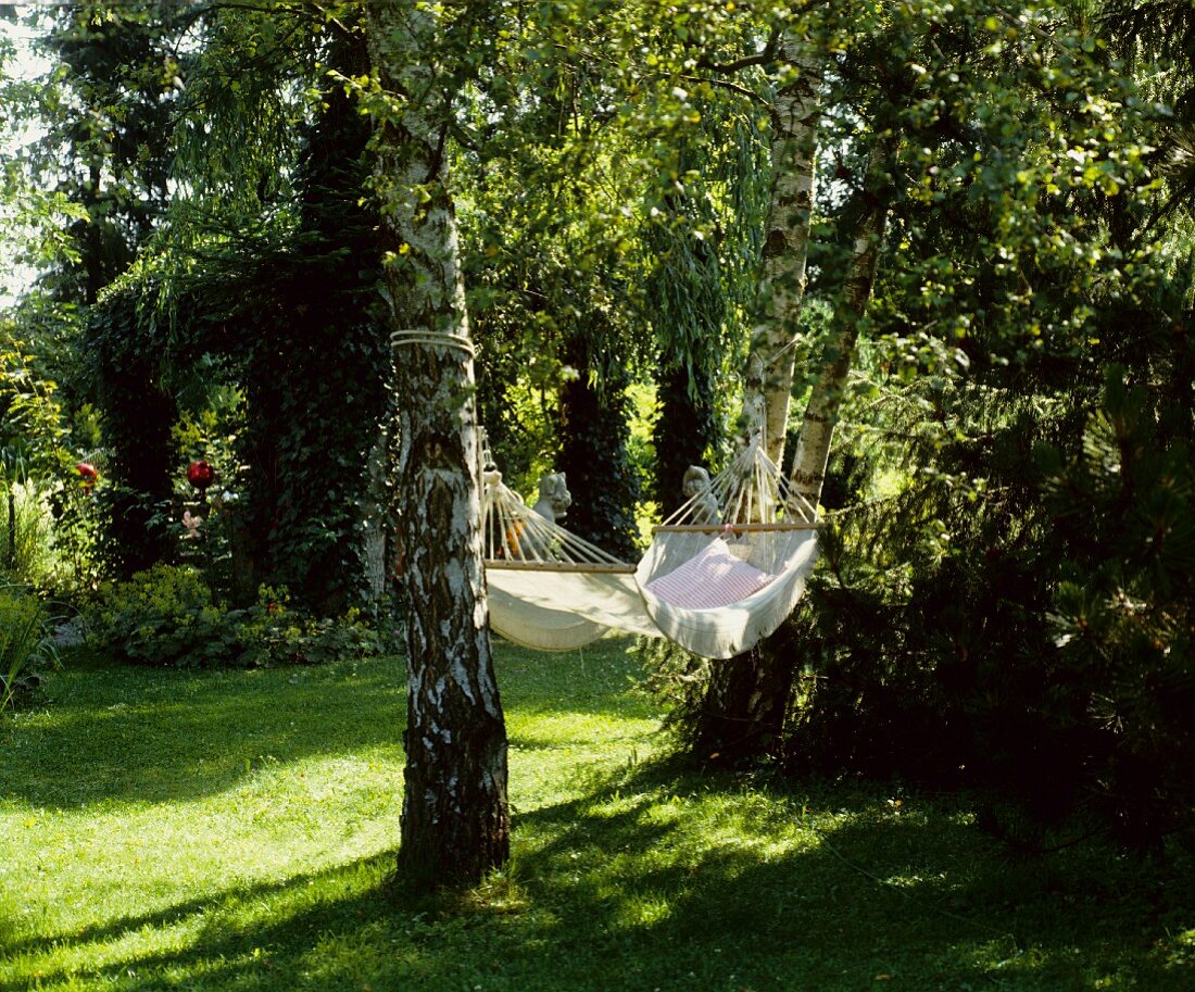 Hammock strung between birch trees in sunny garden