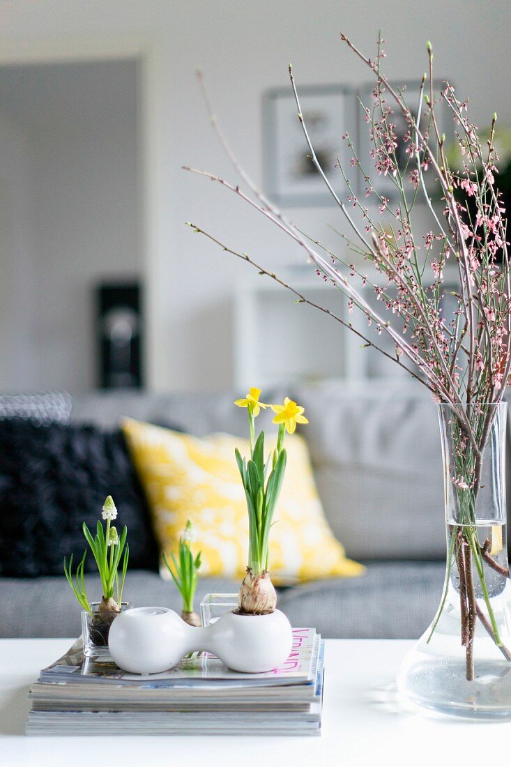 Frühlingsstimmung im Wohnzimmer - Frühlingsblumen in Gefässen und Blütenzweige in Glasvase