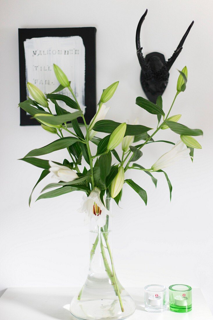 weiße Lilien in Glasvase und Windlichter auf weisser Ablage, an Wand Tiertrophäe neben Bild