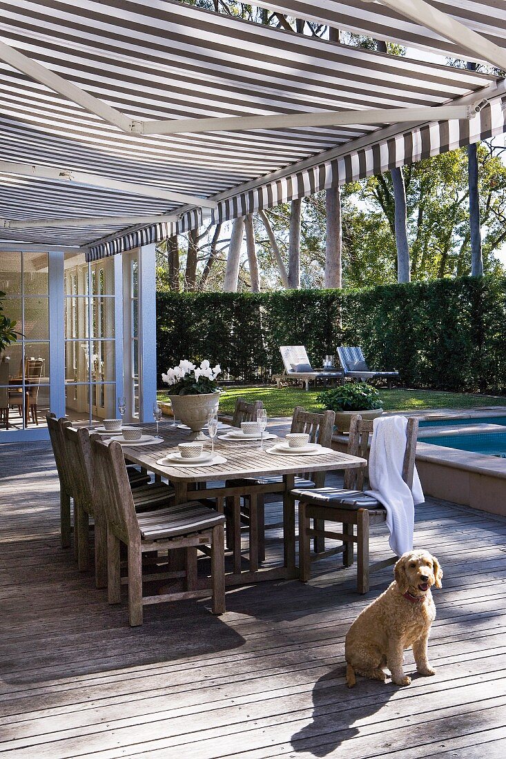 Dog sitting in front of set table on wooden terrace below striped awning and view into sunny garden
