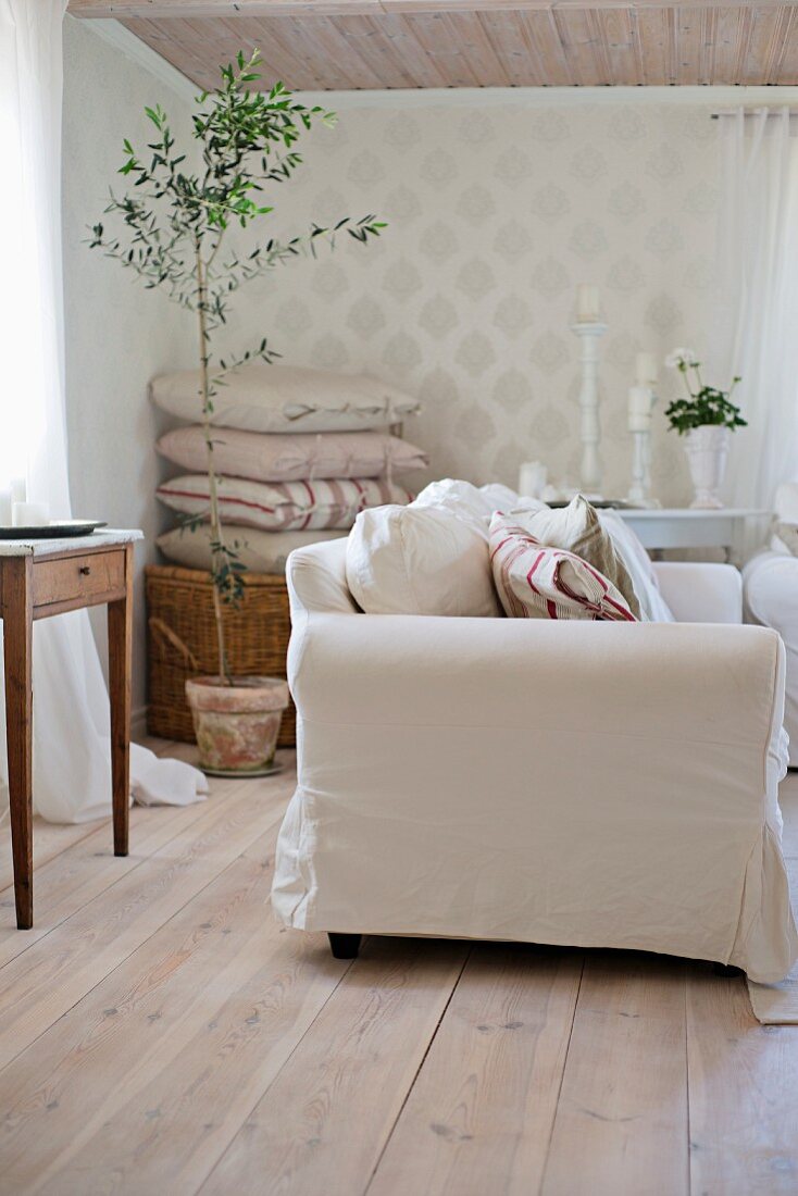 Sofa with white loose cover, small potted olive tree and stack of cushions in rustic living room with wooden floor
